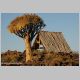 afrika2005_046.jpg