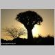 afrika2005_048.jpg