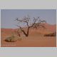 afrika2005_068.jpg