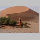 afrika2005_070.jpg