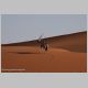 afrika2005_075.jpg
