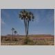 afrika2005_096.jpg