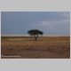 afrika2005_107.jpg