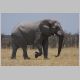 afrika2005_113.jpg