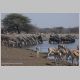 afrika2005_115.jpg