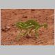 afrika2005_158.jpg