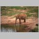 afrika2005_177.jpg